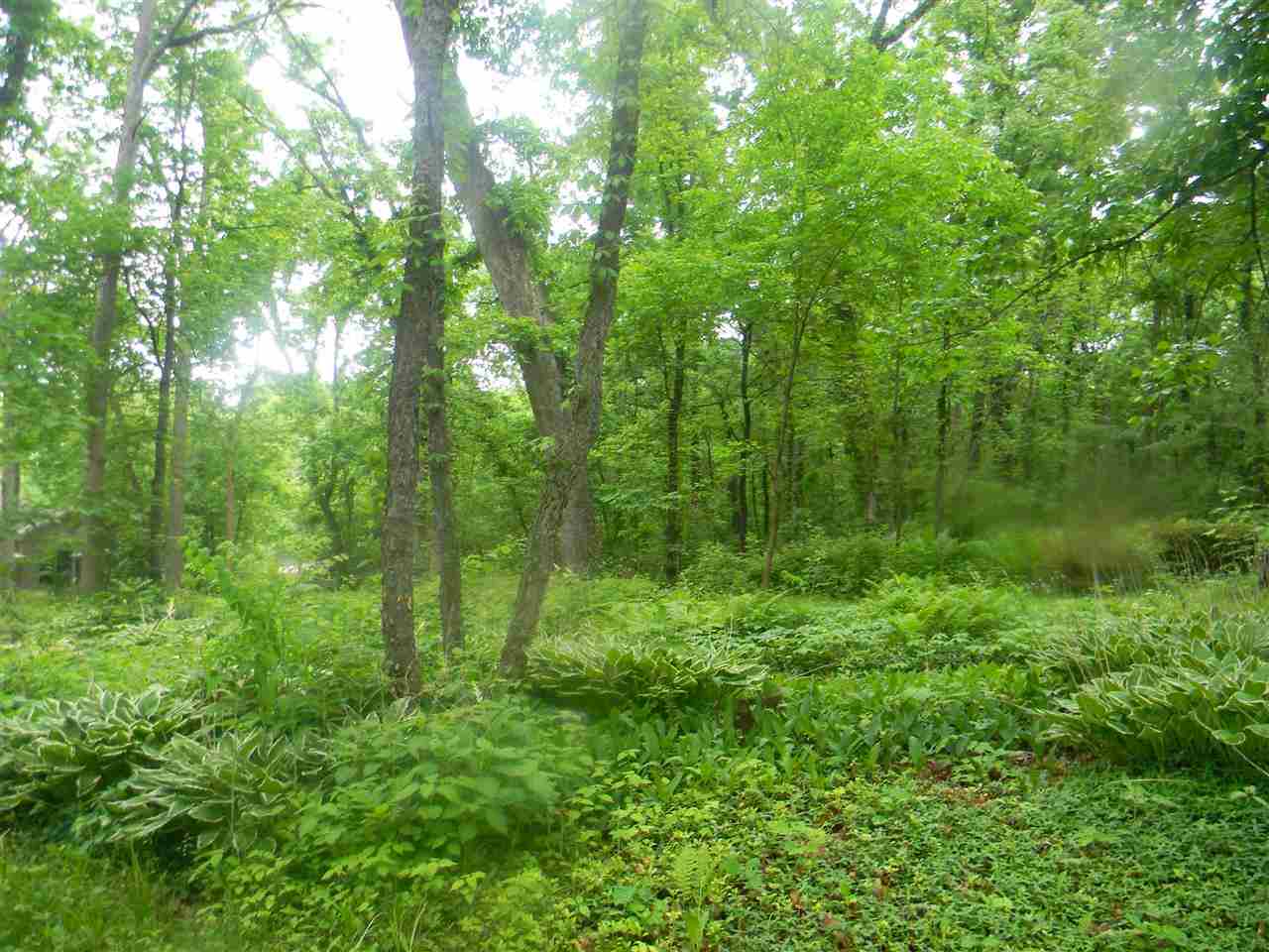 2150 Lake Summerset Road Davis, IL 61019 - Photo 5 of 18 a view of a lush green forest