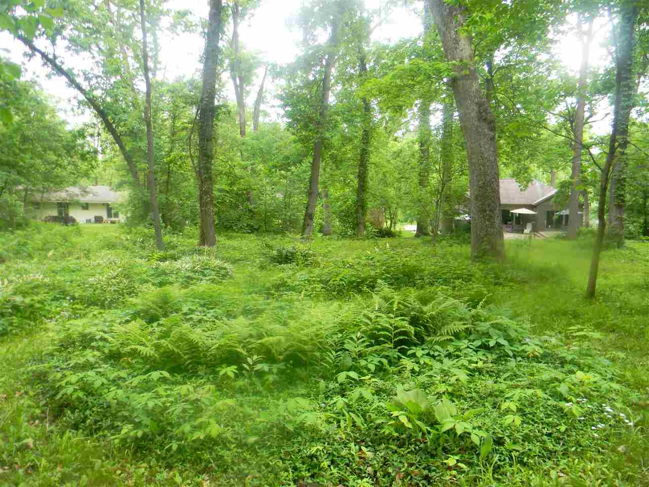 2150 Lake Summerset Road Davis, IL 61019 - Photo 7 of 18 a view of a lush green forest