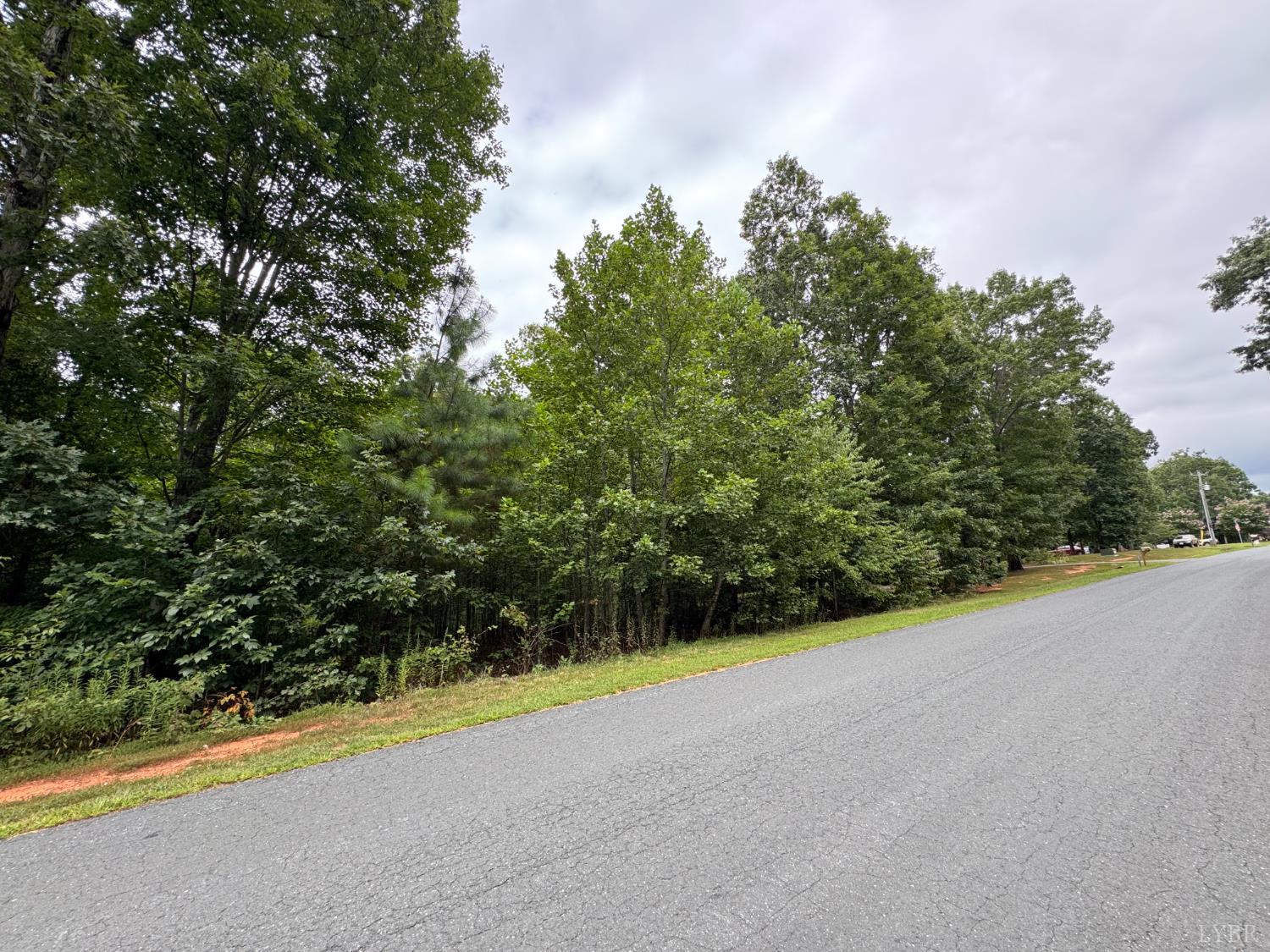 0 Little Bear Lane Spout Spring, VA 24593 - Photo 13 of 15 Gallery Image 13