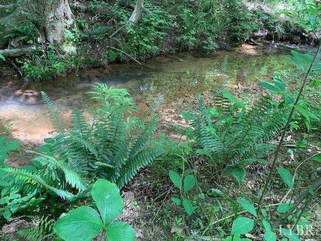 0 Little Bear Lane Spout Spring, VA 24593 - Photo 3 of 15 Gallery Image 3