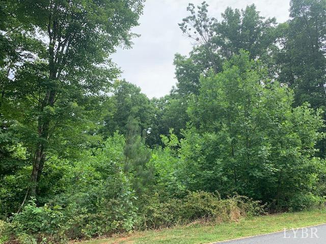 0 Little Bear Lane Spout Spring, VA 24593 - Photo 4 of 15 Gallery Image 4