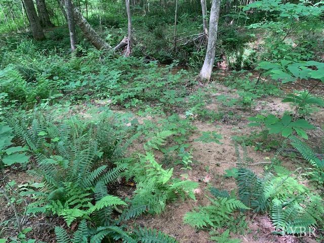 0 Little Bear Lane Spout Spring, VA 24593 - Photo 8 of 15 Gallery Image 8