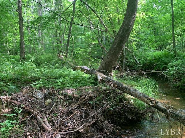 0 Little Bear Lane Spout Spring, VA 24593 - Photo 10 of 15 Gallery Image 10