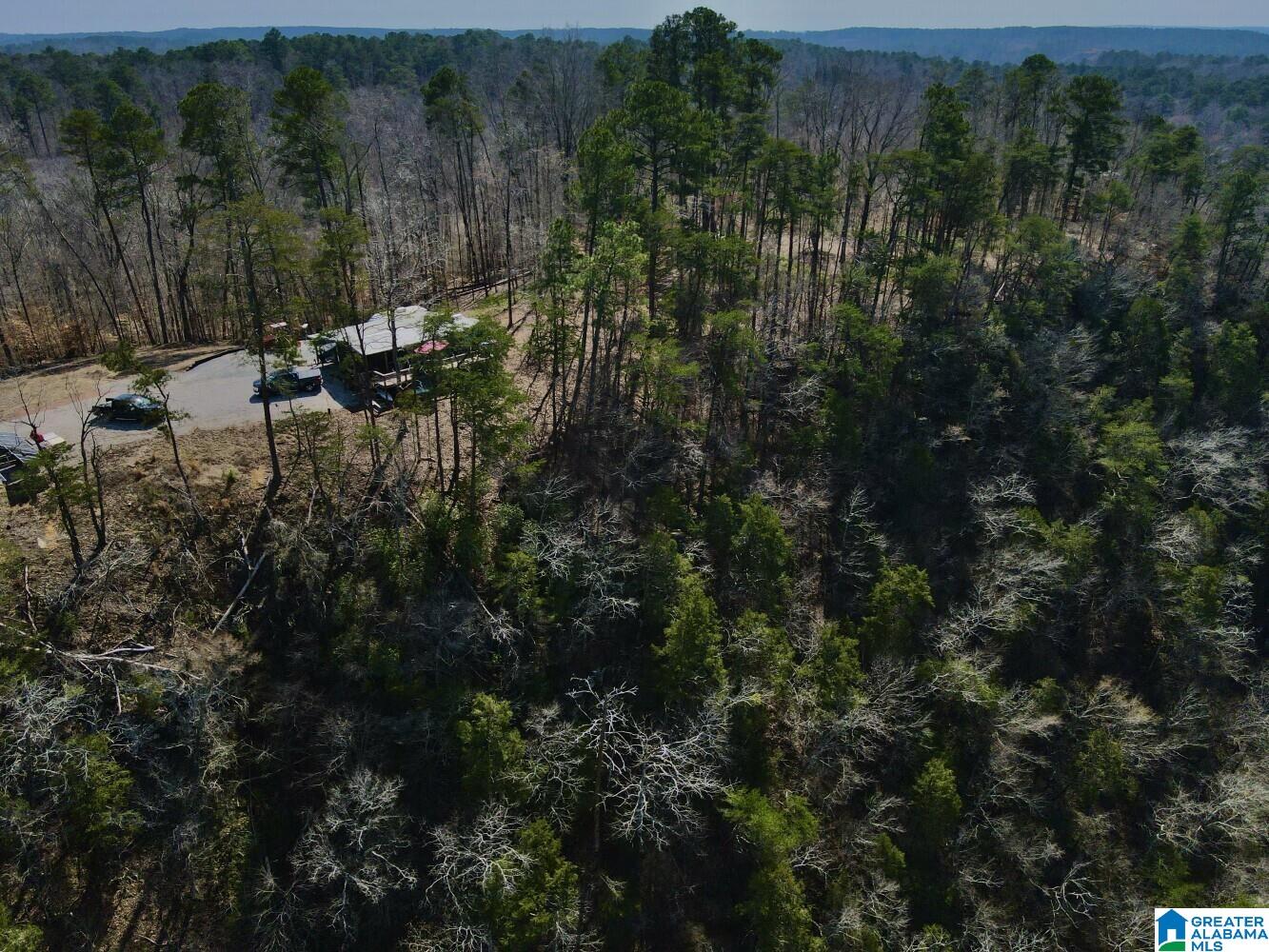 219 Pine Ridge Road, Unit 1 Bessemer, AL 35023 - Photo 23 of 46