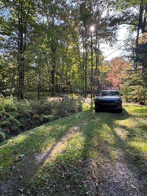 847 Rock Pool Road Acme, PA 15610 - Photo 23 of 25 Gallery Image 23