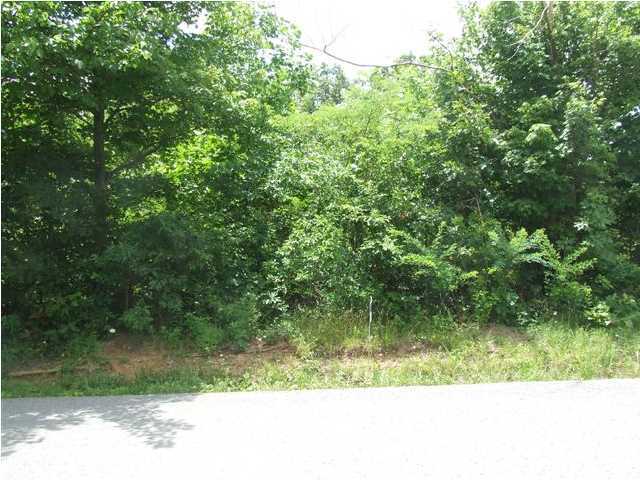 1853 Wheeler Road Dunlap, TN 37327 - Photo 1 of 5 Primary Photo
