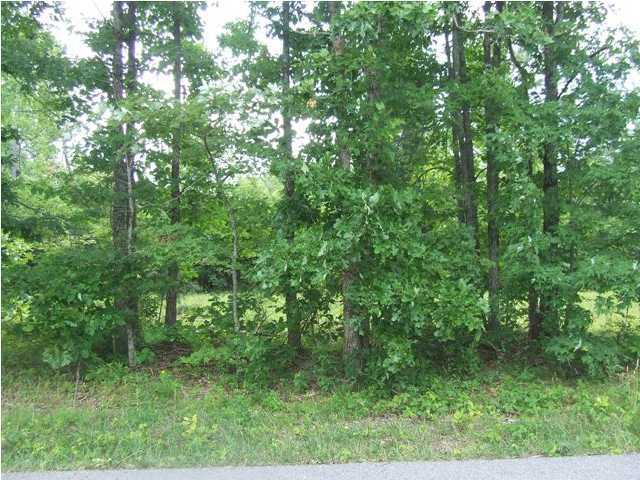 1853 Wheeler Road Dunlap, TN 37327 - Photo 2 of 5 Additional Photo