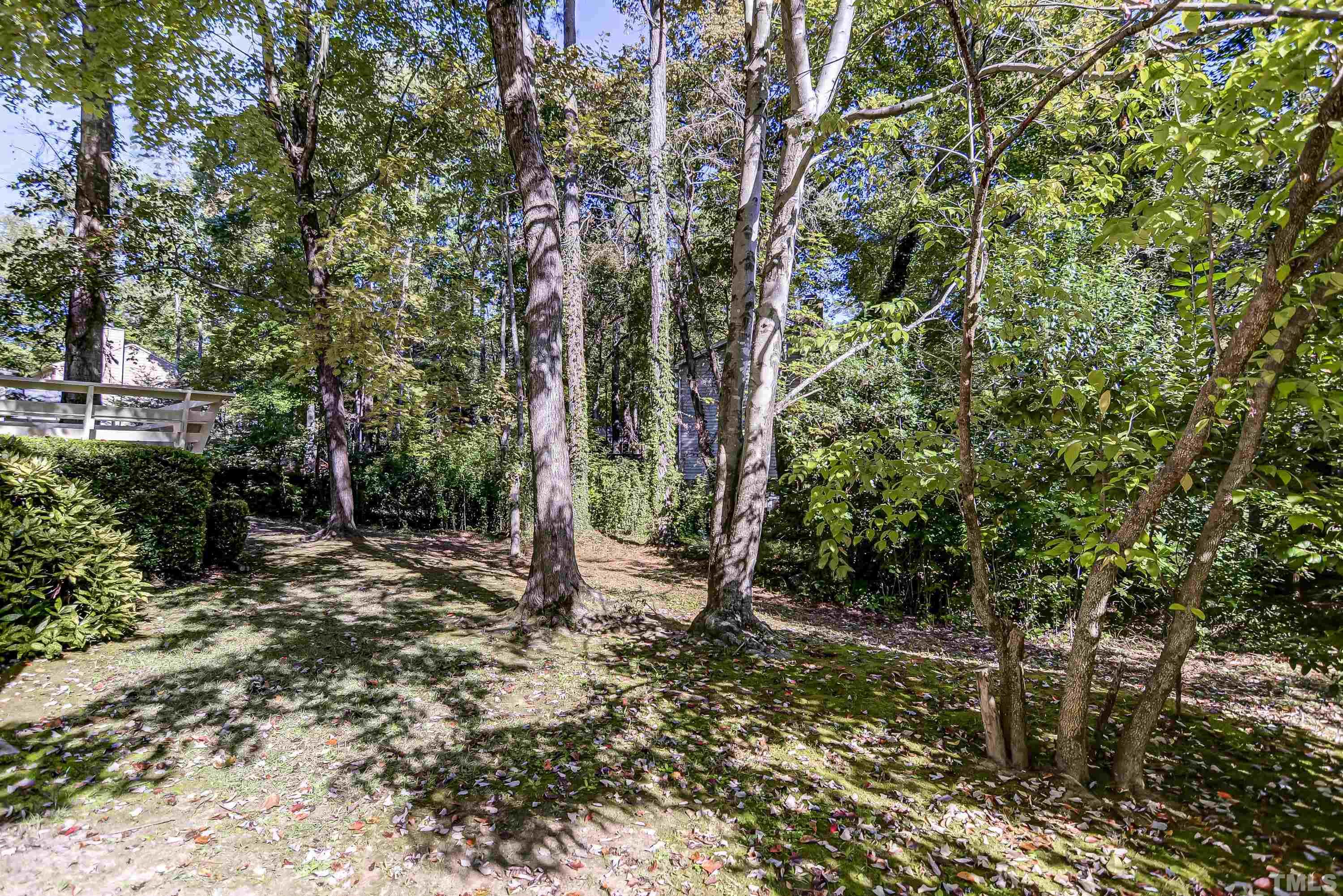 7400 Old Hundred Road Raleigh, NC 27613 - Photo 16 of 17 a view of a forest filled with trees