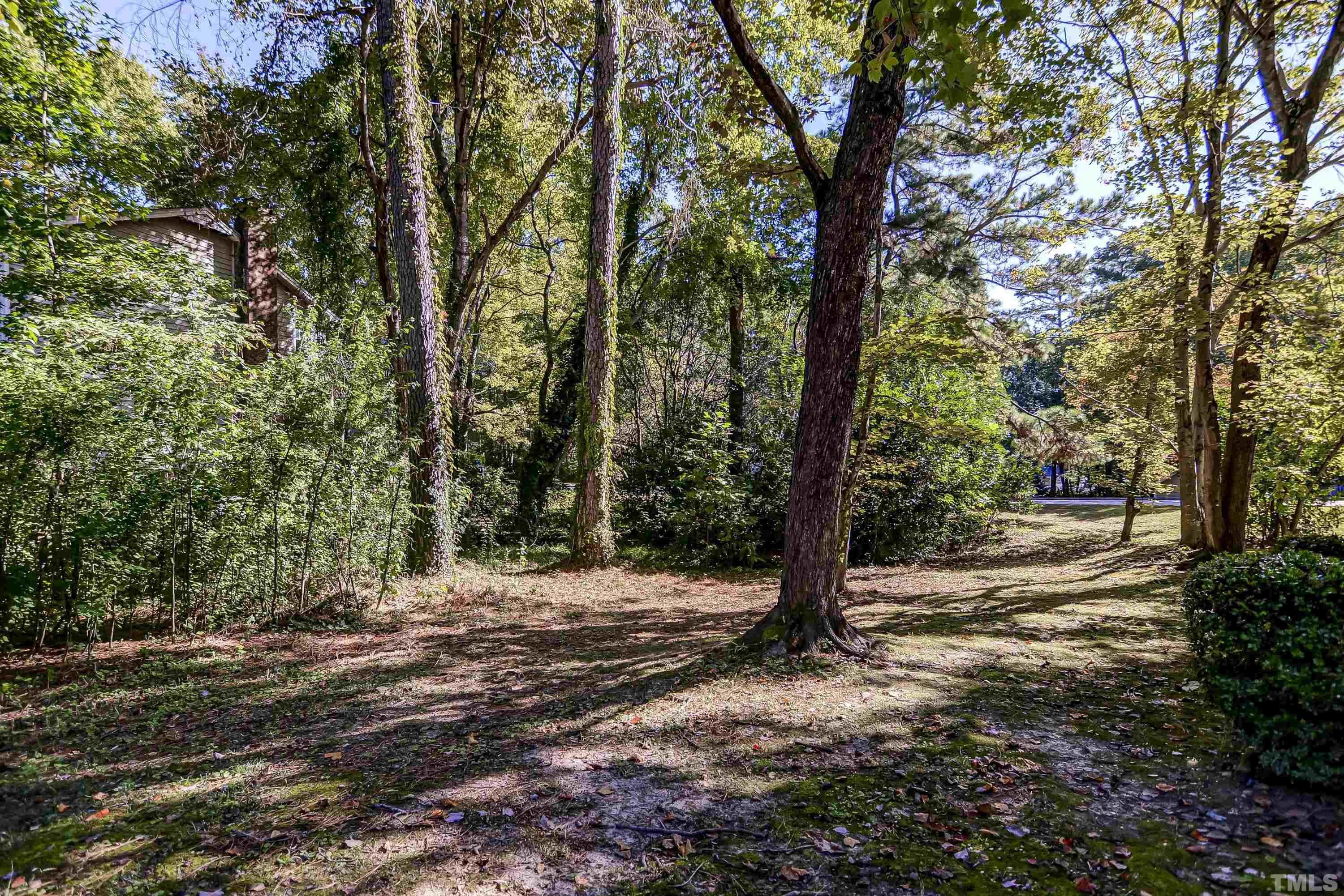 7400 Old Hundred Road Raleigh, NC 27613 - Photo 17 of 17 a view of a forest with trees