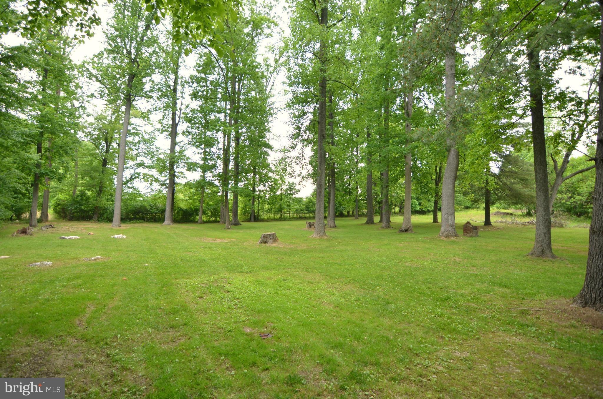 4600 Lathe Road Owings Mills, MD 21117 - Photo 21 of 21 Backyard