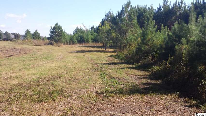 Lot 2 King Farm Road Aynor, SC 29511 - Photo 2 of 5 Gallery Image 2