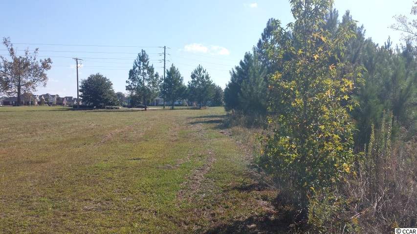 Lot 2 King Farm Road Aynor, SC 29511 - Photo 3 of 5 Gallery Image 3