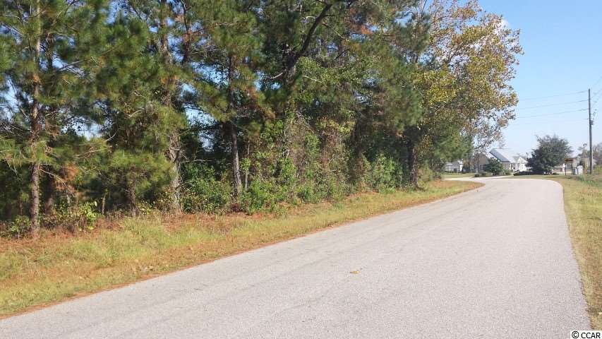 Lot 2 King Farm Road Aynor, SC 29511 - Photo 4 of 5 Gallery Image 4