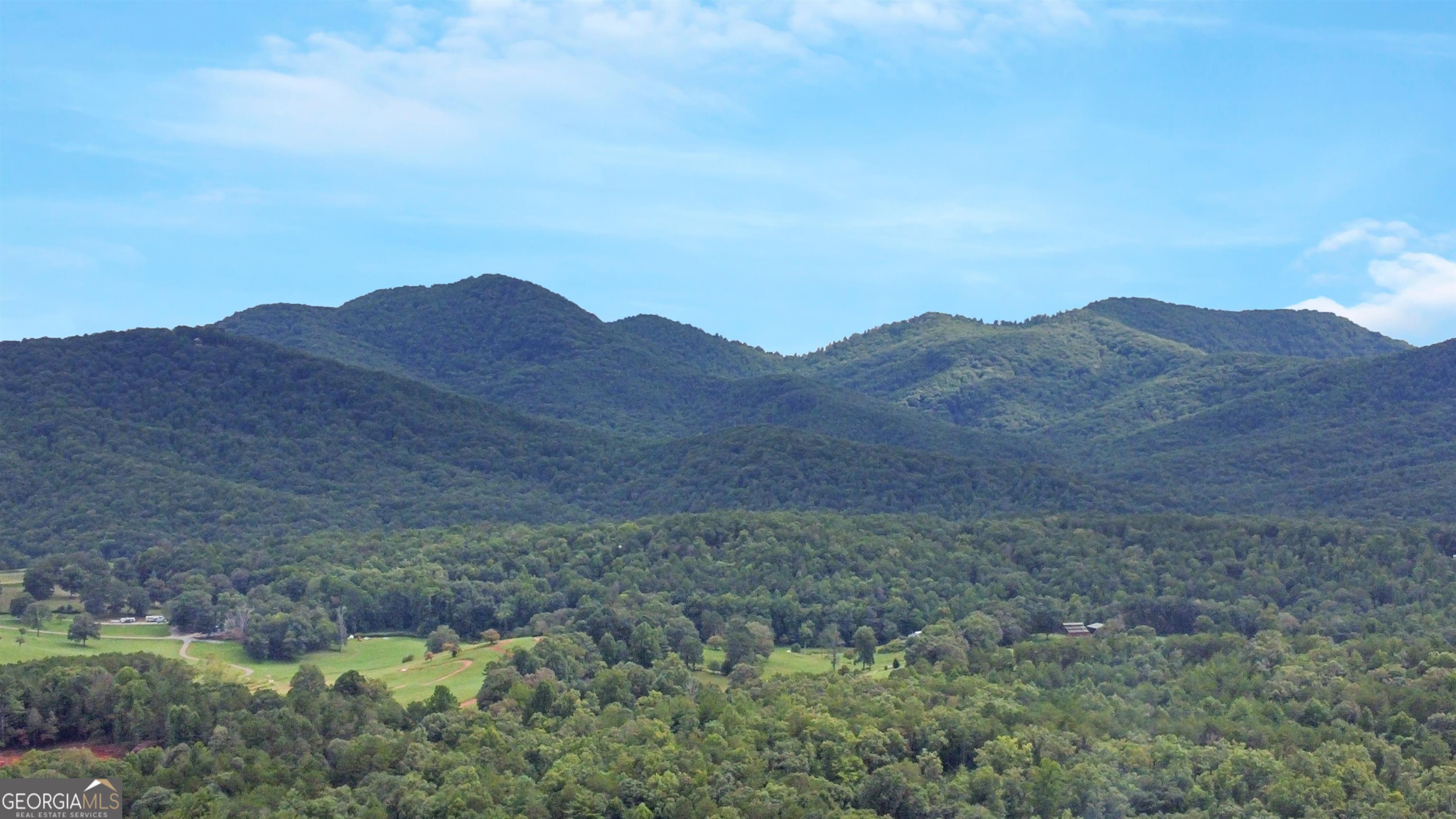 161 Old Dial Road Morganton, GA 30560 - Photo 7 of 40 a view of a lush green hillside and a houses