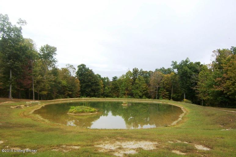 3950 Nat Rogers Road Boston, KY 40107 - Photo 43 of 57 39 POND
