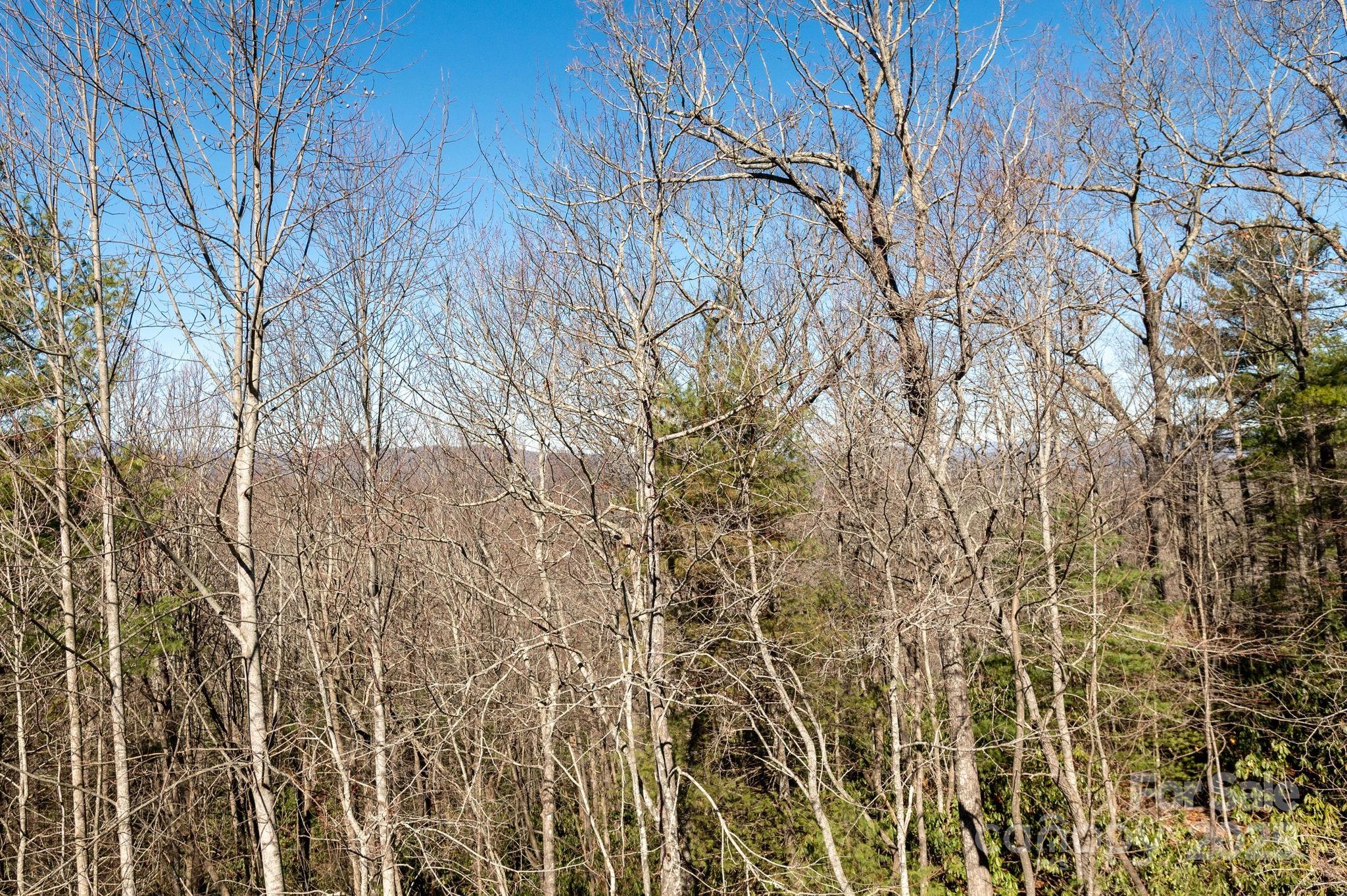 155 Poplar Loop Drive Flat Rock, NC 28731 - Photo 33 of 41