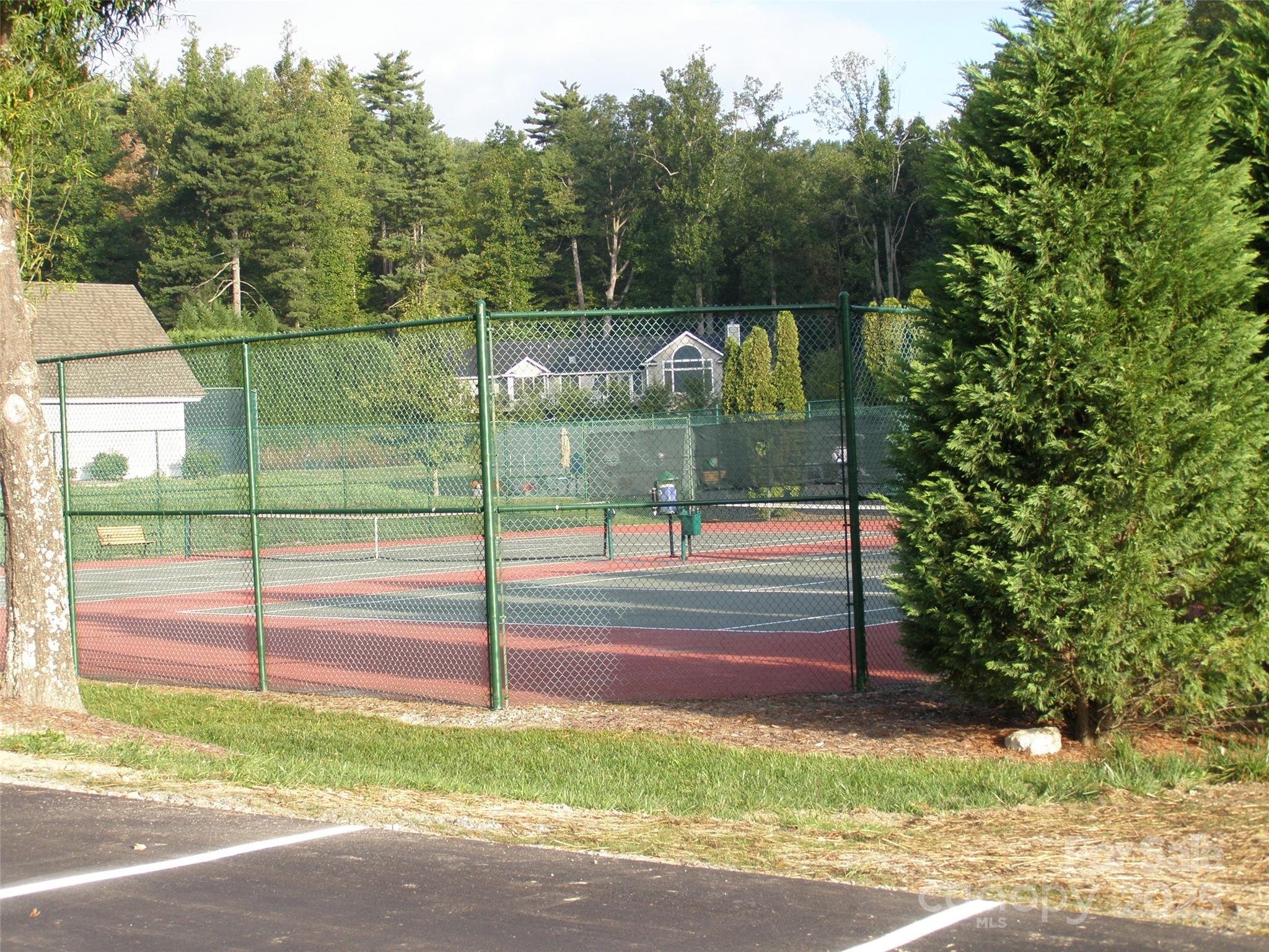 155 Poplar Loop Drive Flat Rock, NC 28731 - Photo 41 of 41