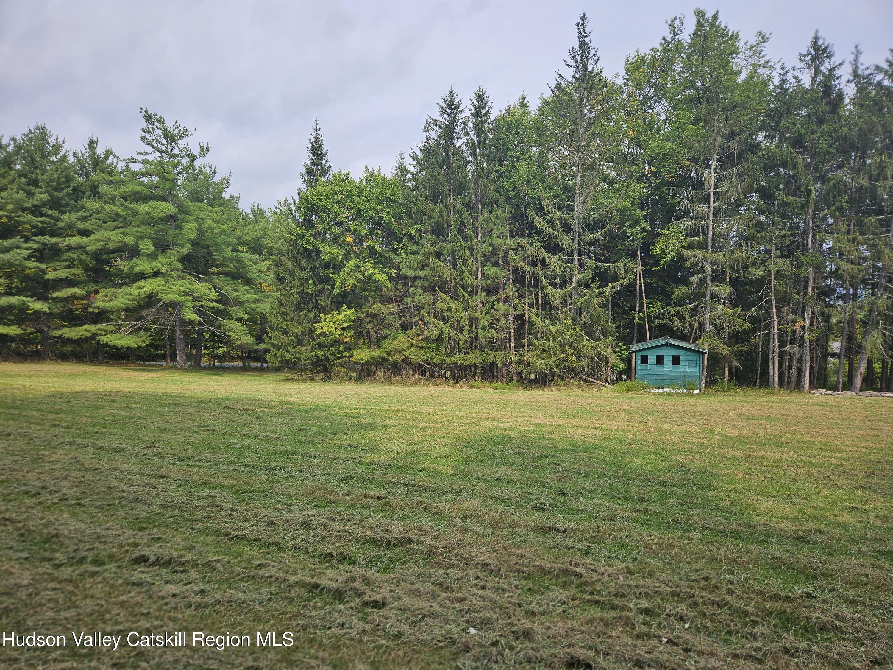 20 Reich Road Cornwallville, NY 12418 - Photo 48 of 53 Spacious LAnd