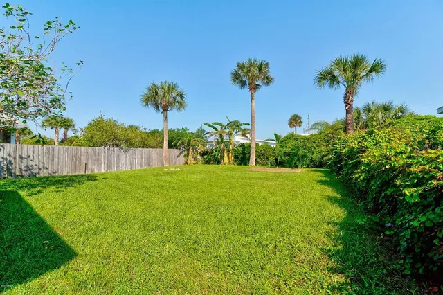 a view of a yard with a palm tree