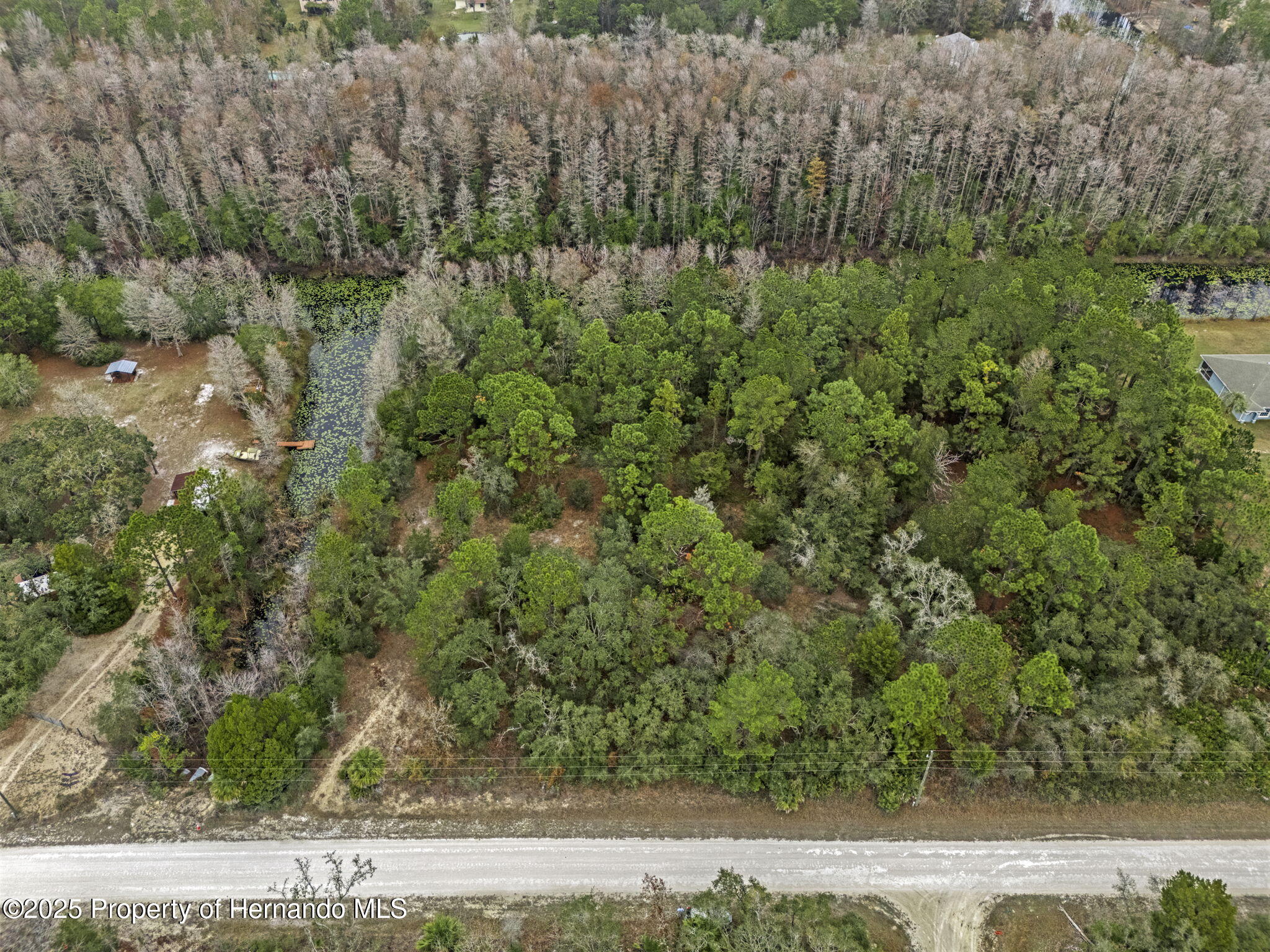 0 Yellowback Road Weeki Wachee, FL 34614 - Photo 4 of 14