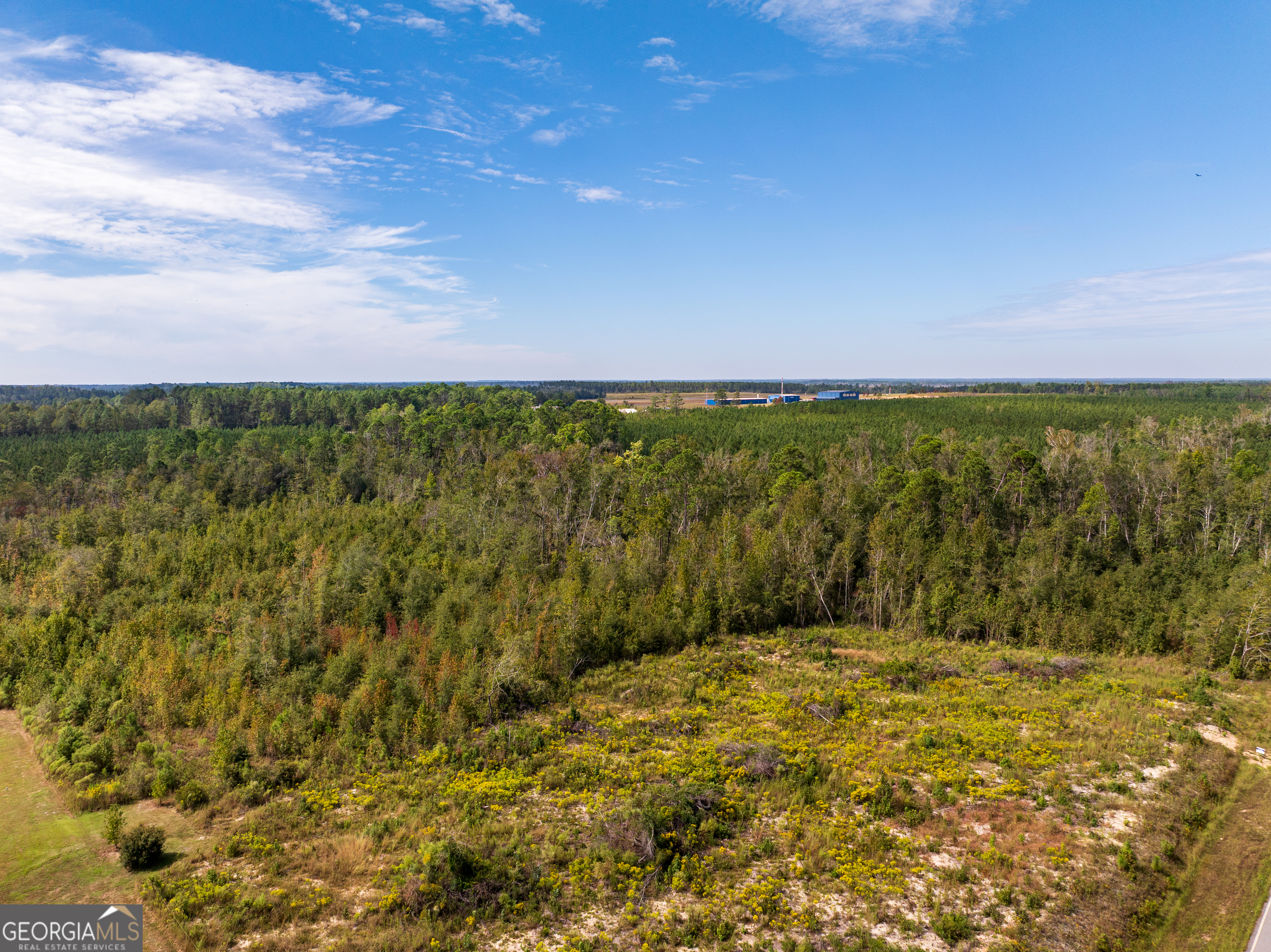 14.53-acres Gumlog Road Swainsboro, GA 30401 - Photo 5 of 7 a view of an outdoor space
