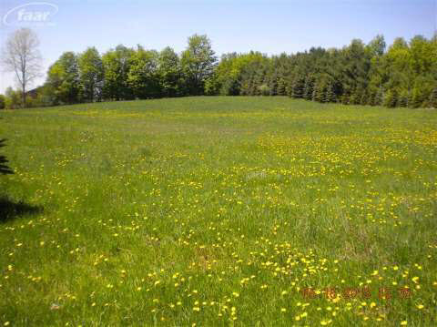 12322 Wilson Road Otisville, MI 48463 - Photo 16 of 24 20356969-15.JPG