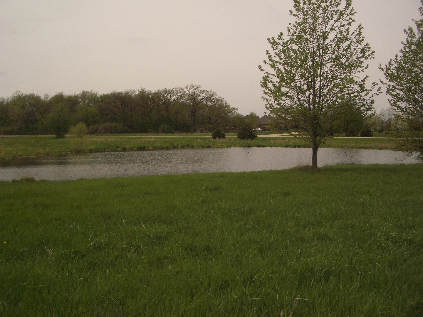 a view of lake with green field
