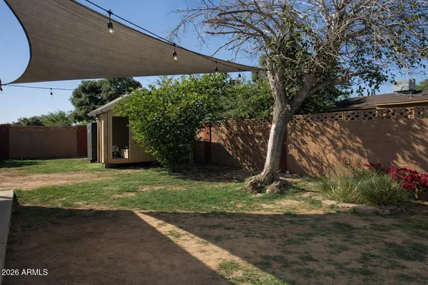 a view of a backyard