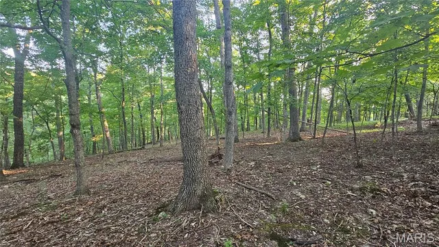 $20,600 | 11 A Nottingham Court, Lake Sherwood, MO 63357