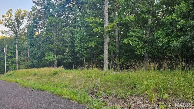 $20,600 | 11 A Nottingham Court, Lake Sherwood, MO 63357