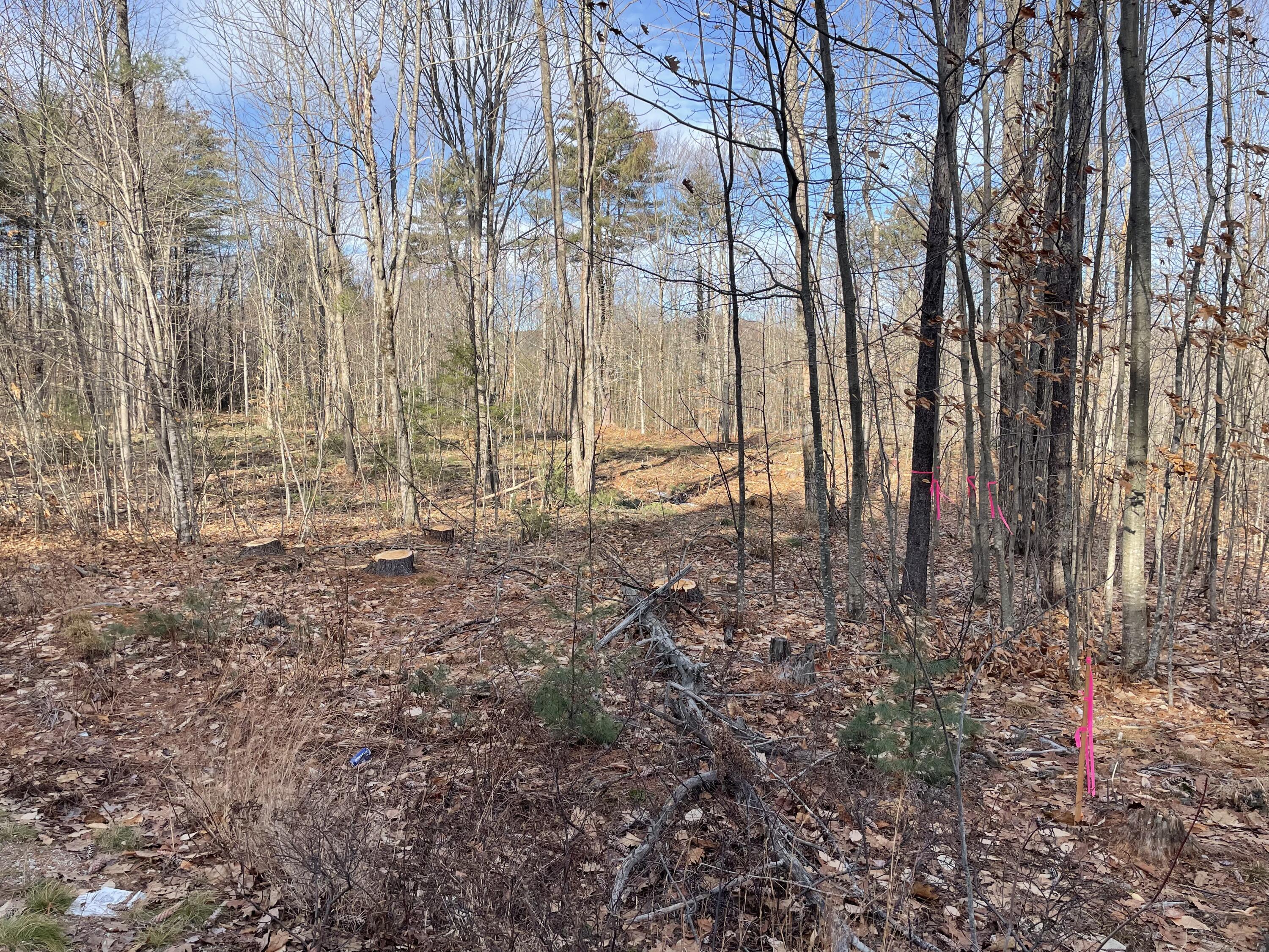 Lot 12-1 Maplewood Road Parsonsfield, ME 04047 - Photo 1 of 14 Lot 12-1 Maplewood Rd