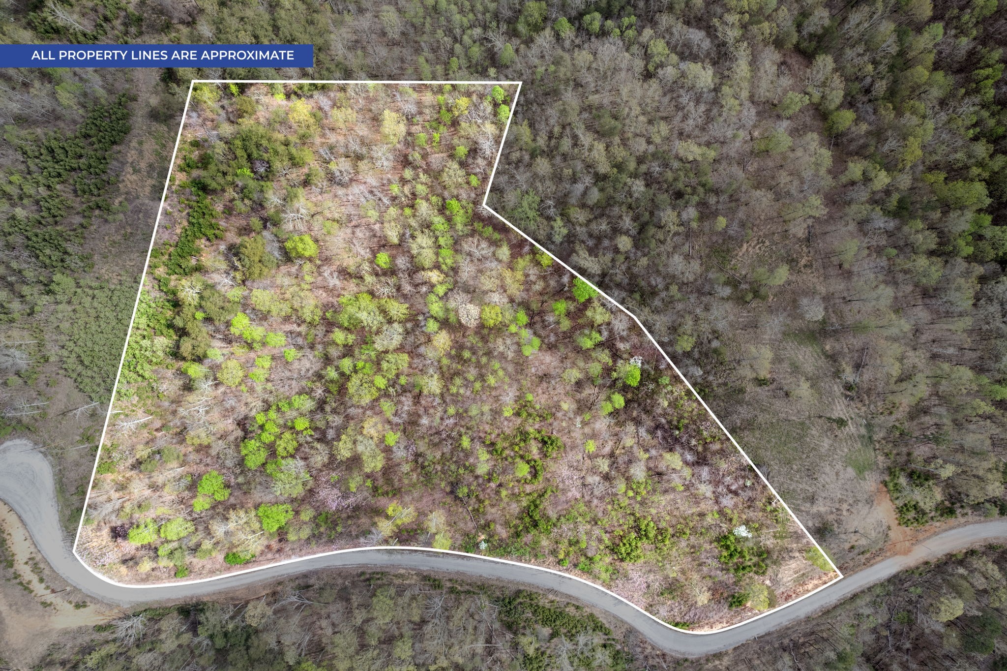 0 Float Drive Waverly, TN 37185 - Photo 3 of 18 a view of a forest