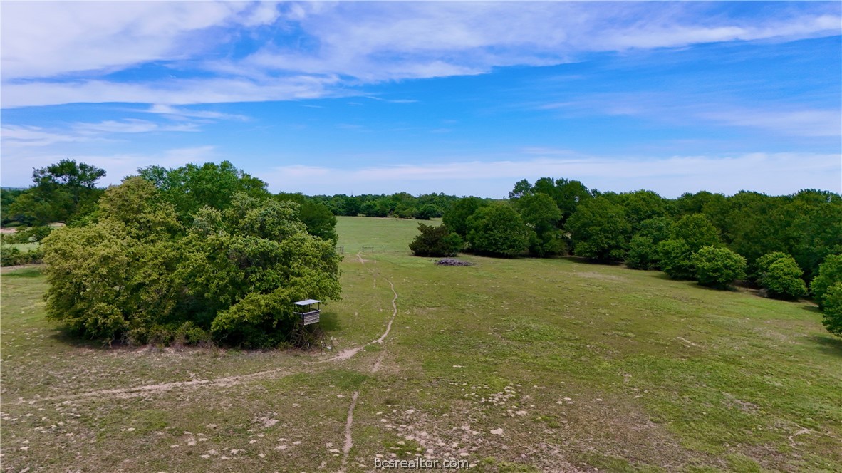 10432 Sammys Road Bremond, TX 76629 - Photo 43 of 47 a view of a field with an trees