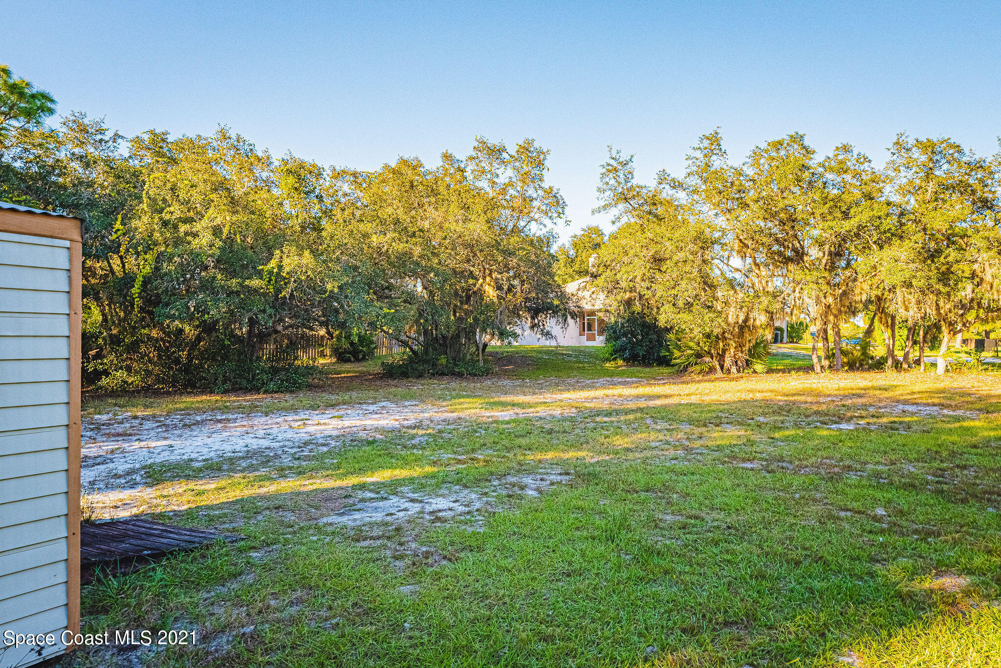 3748 Turtle Mound Road Melbourne, FL 32934 - Photo 43 of 68 a view of yard with swimming pool and trees