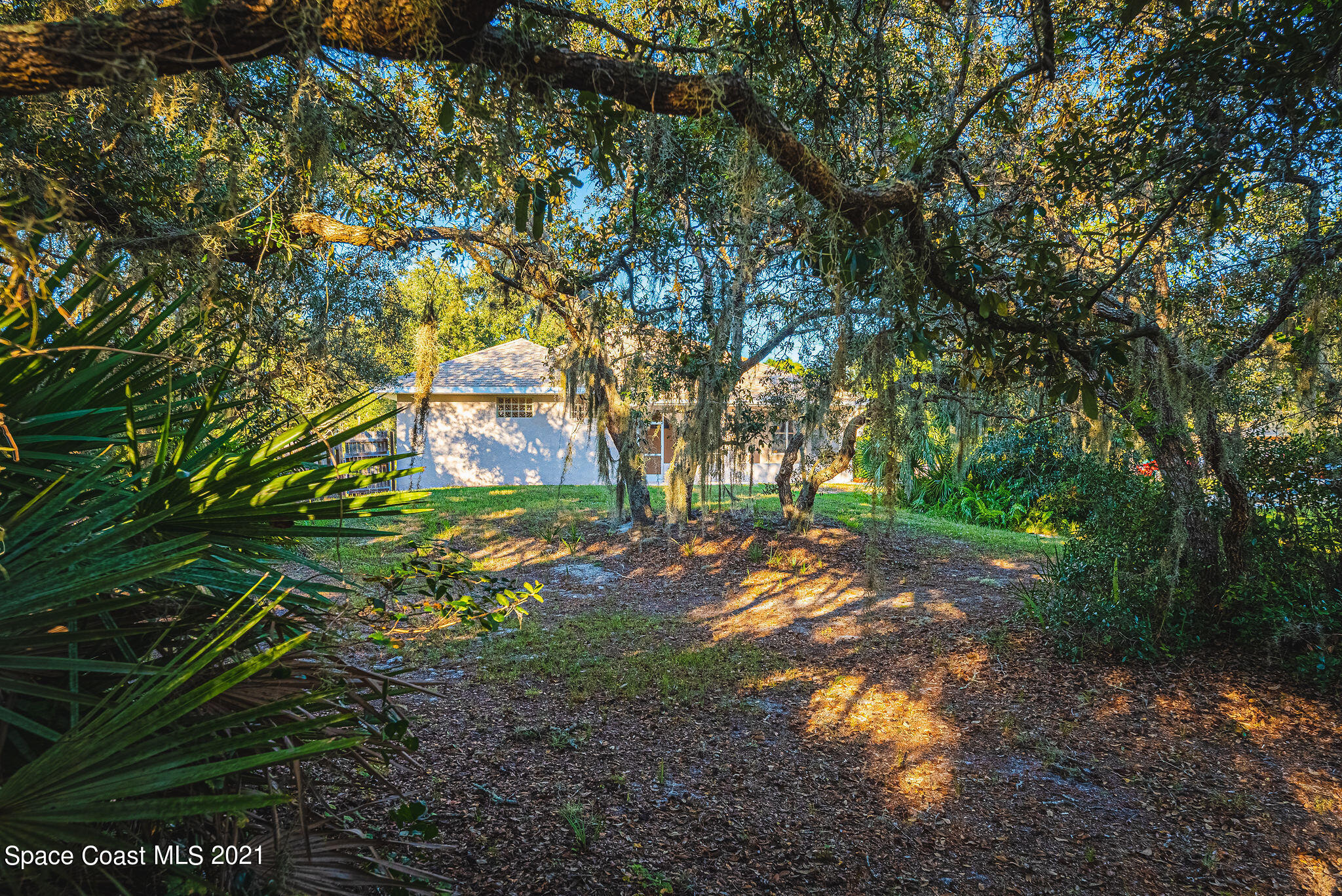 3748 Turtle Mound Road Melbourne, FL 32934 - Photo 44 of 68 a backyard of a house with lots of green space