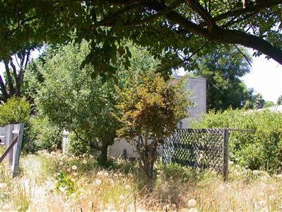 317-313 Decker Street Santa Rosa, CA 95401 - Photo 5 of 9 Gallery Image 5