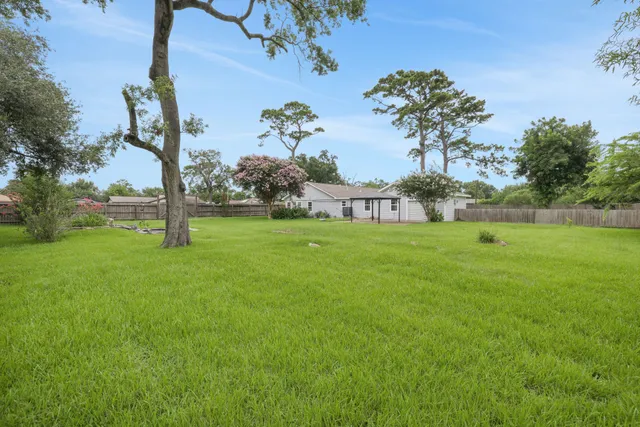 a view of a garden with a tree