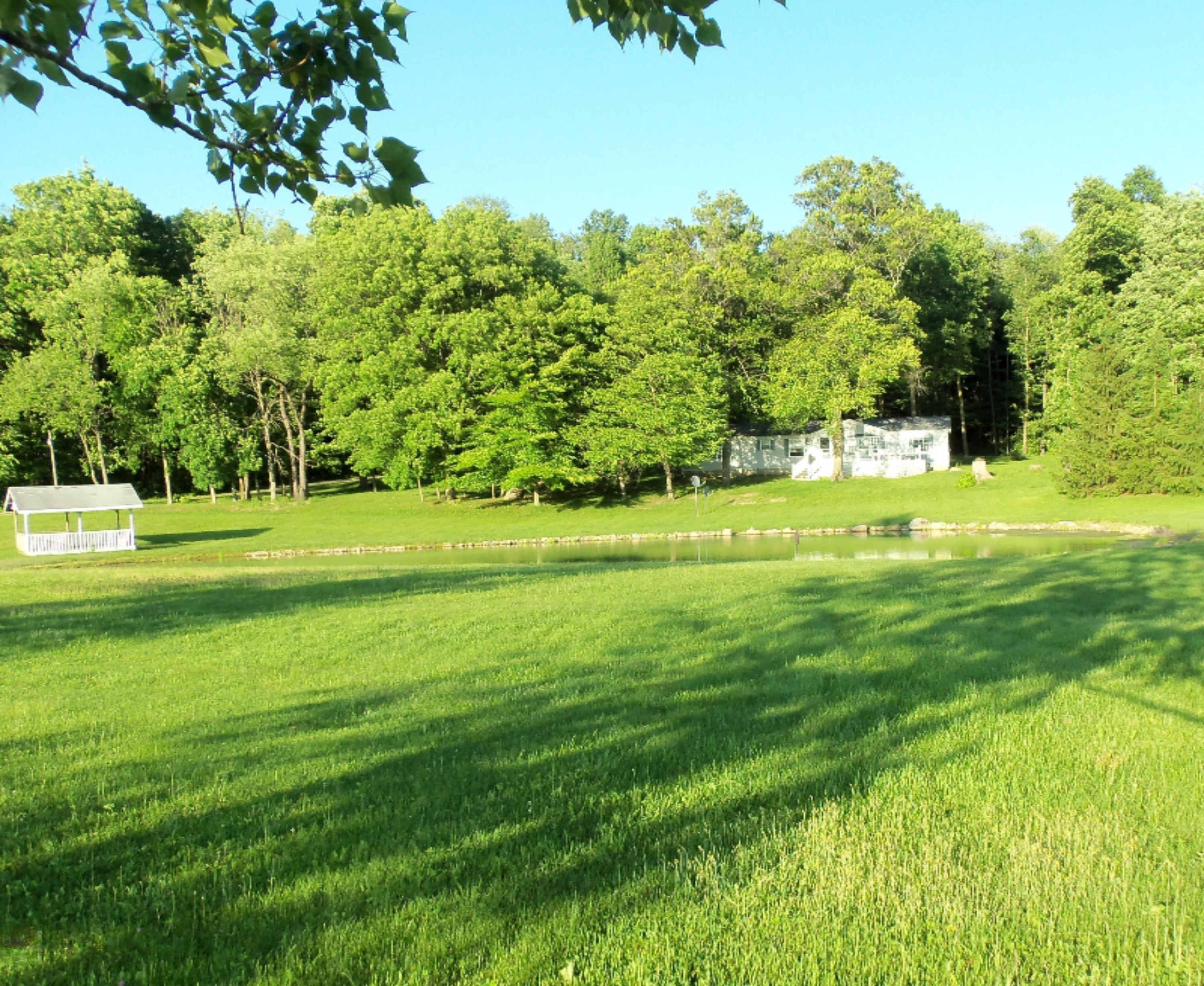 10831 South Edon Road Camden, MI 49232 - Photo 3 of 25 100_5376