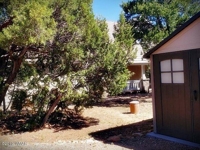 3452 Riata Road Heber, AZ 85928 - Photo 28 of 62