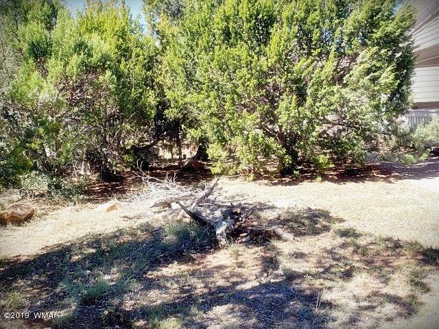 3452 Riata Road Heber, AZ 85928 - Photo 40 of 62