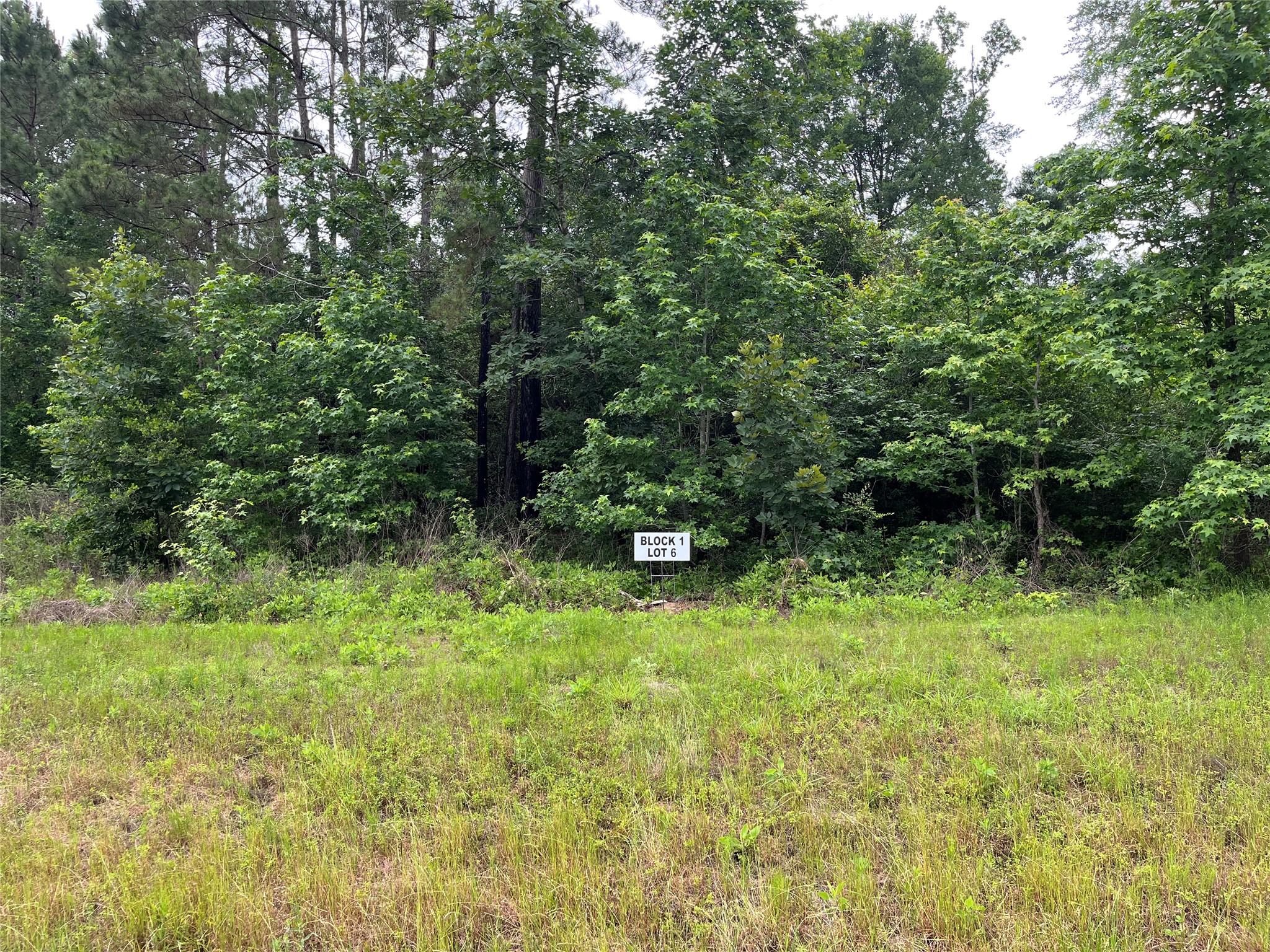 15841 Ridge Rock Road Willis, TX 77378 - Photo 2 of 9