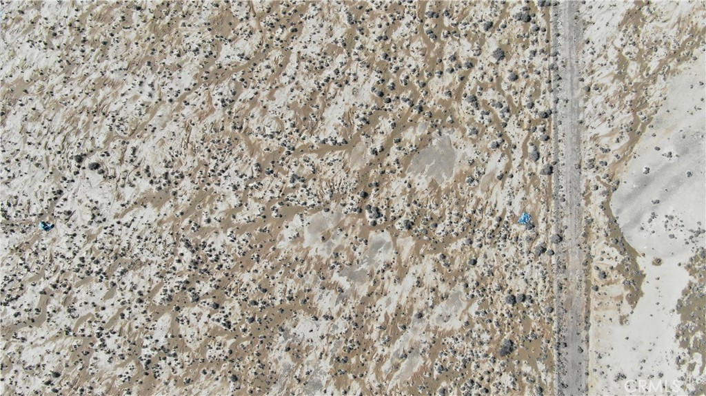 3 Spring Valley Tecopa, CA 92389 - Photo 14 of 15 a close up of a plant