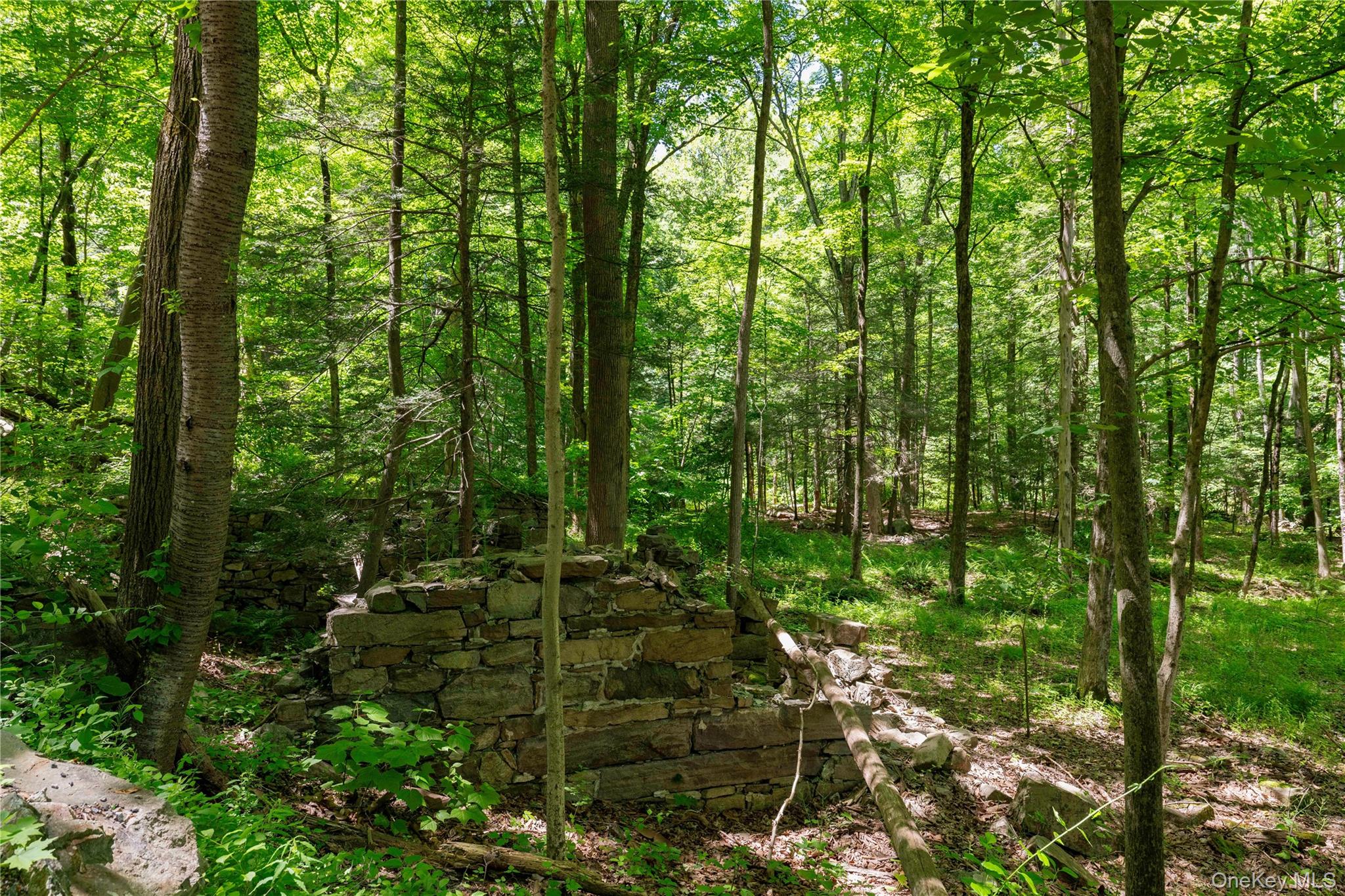 50 Mill Road Cold Spring, NY 10516 - Photo 22 of 29 Historic grist mill
