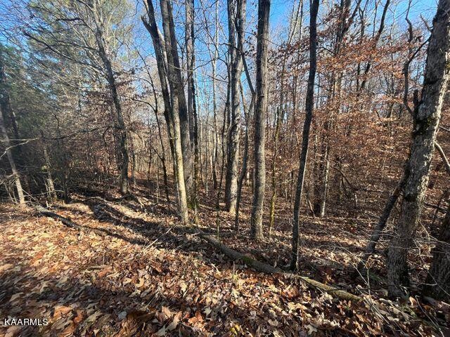 41 Athens Road Delano, TN 37325 - Photo 11 of 34