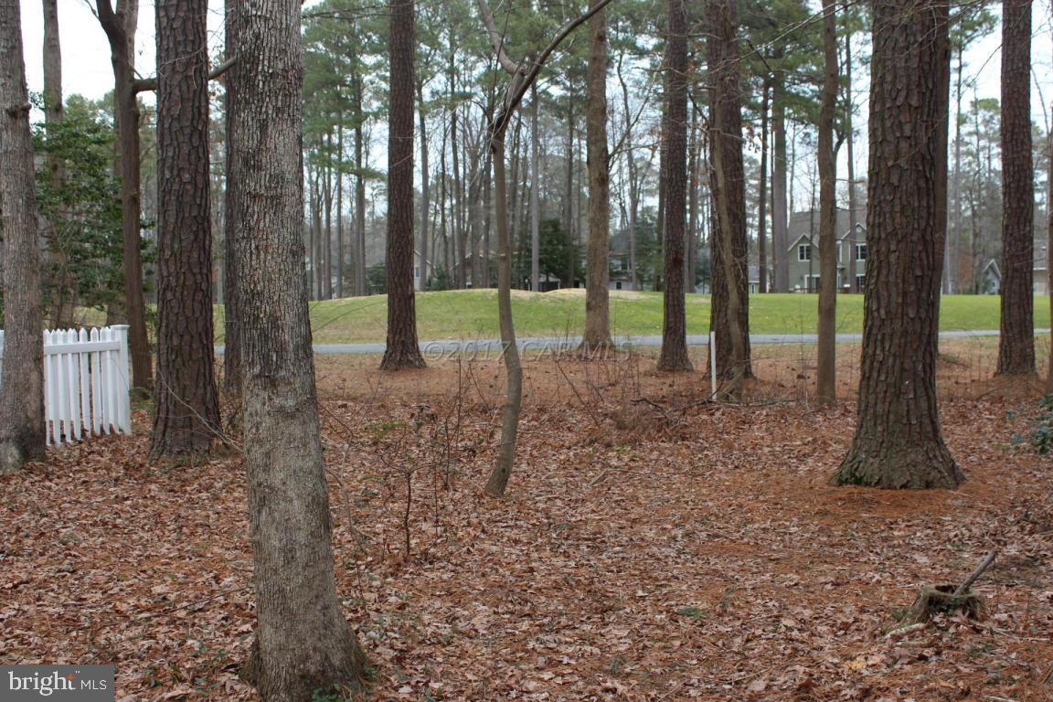 129 Windjammer Road Ocean Pines, MD 21811 - Photo 26 of 36 a view of a park