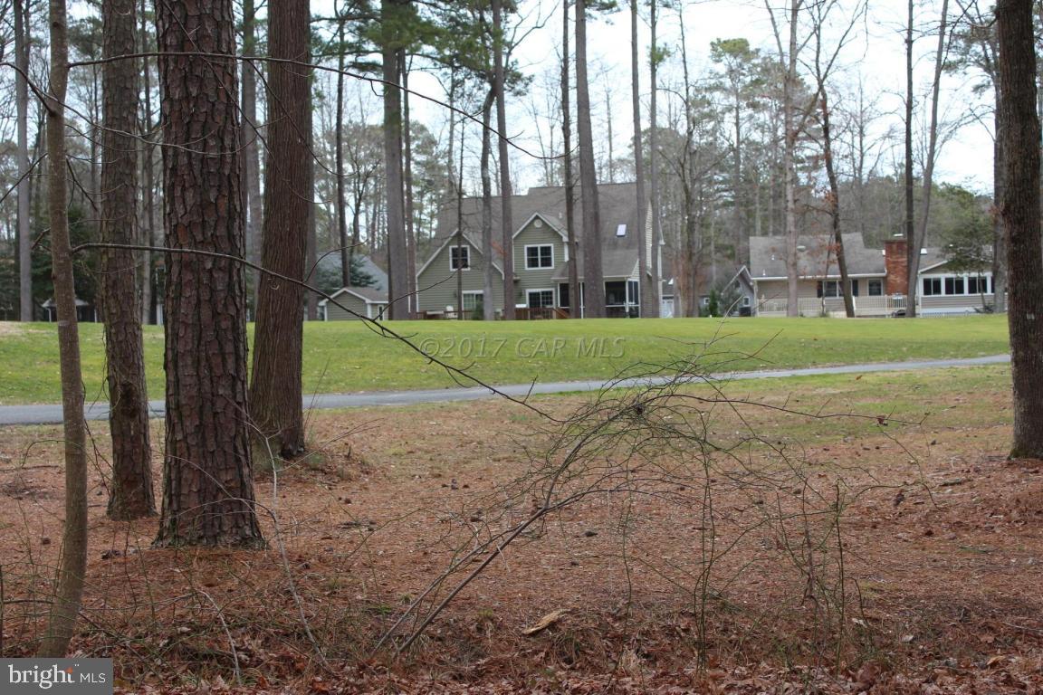 129 Windjammer Road Ocean Pines, MD 21811 - Photo 28 of 36 a view of a park