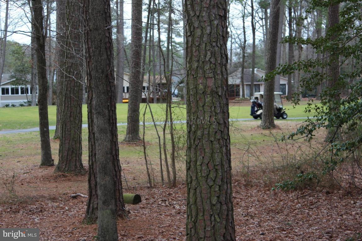129 Windjammer Road Ocean Pines, MD 21811 - Photo 29 of 36 a view of a trees in a yard