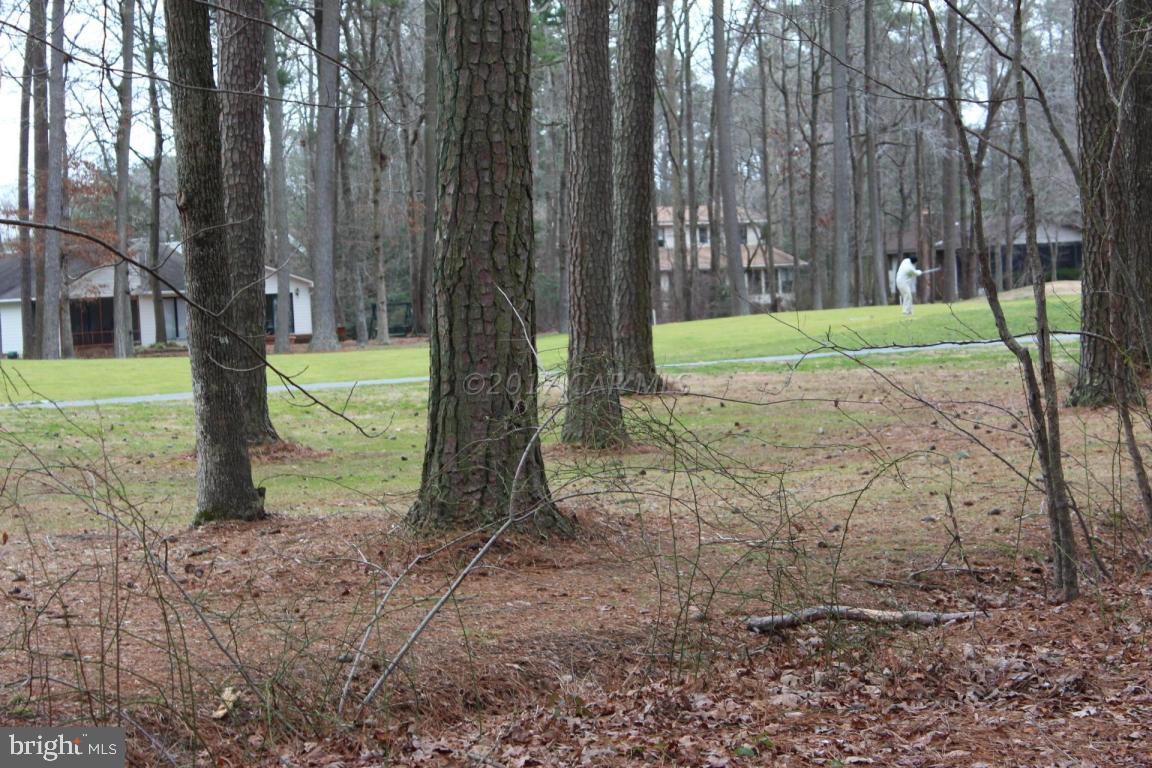 129 Windjammer Road Ocean Pines, MD 21811 - Photo 30 of 36 a view of a park