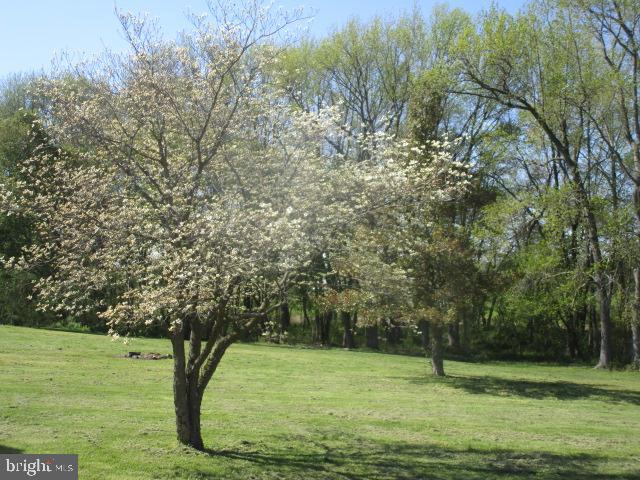 217 Short Cut Road Chesapeake City, MD 21915 - Photo 14 of 17 Gallery Image 14
