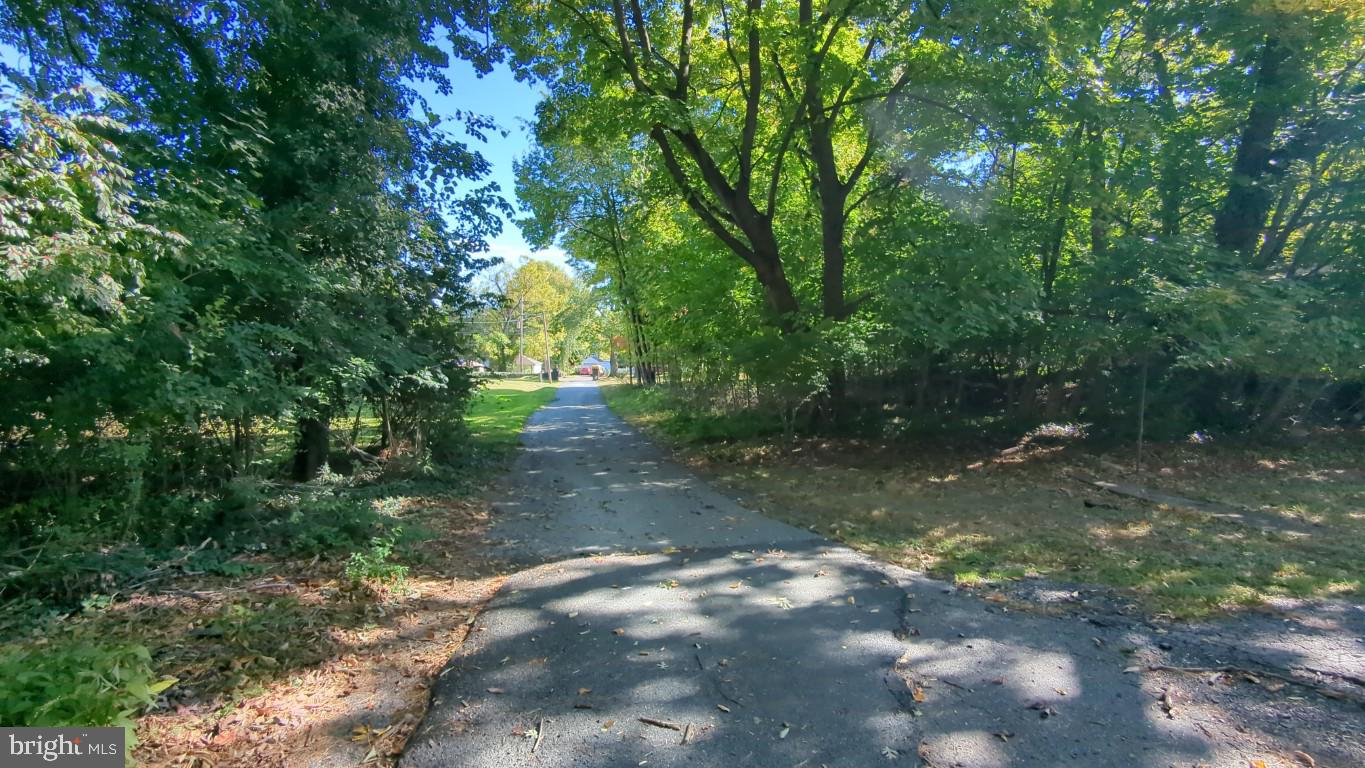 900 Main Street Brookhaven, PA 19015 - Photo 13 of 42 a view of a forest with trees in the background